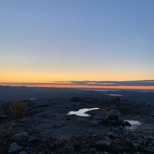 Meet your Posher, Sophie